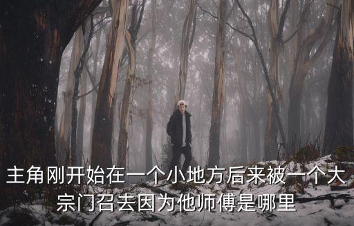 主角刚开始在一个小地方后来被一个大宗门召去因为他师傅是哪里