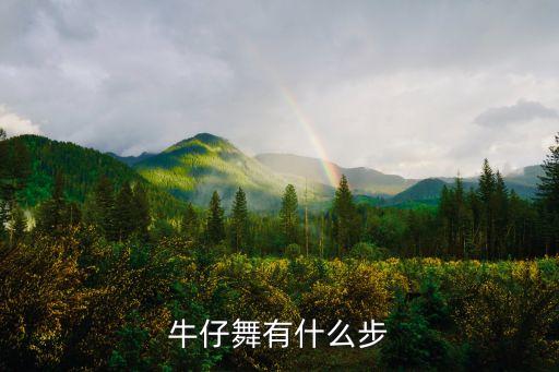 牛仔有哪些步伐，牛仔有哪些基本步