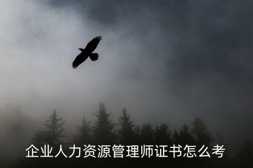 自己怎么报考人力资源证，人力资源证书考试如何报名