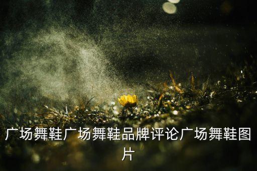 广场舞鞋广场舞鞋品牌评论广场舞鞋图片