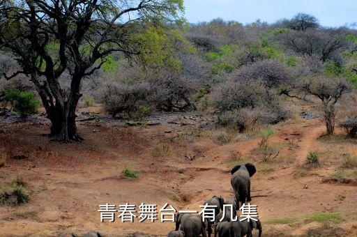 舞台青青世界舞蹈完整版视频，青春舞台一有几集