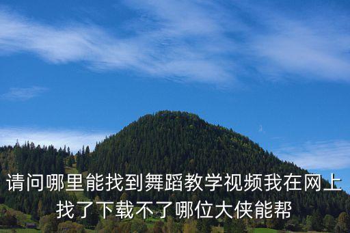 请问哪里能找到舞蹈教学视频我在网上找了下载不了哪位大侠能帮