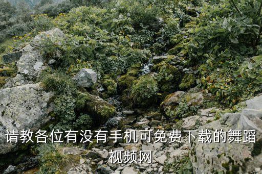 请教各位有没有手机可免费下载的舞蹈视频网