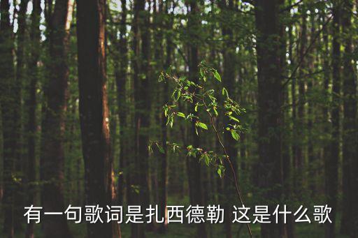 有一句歌词是扎西德勒 这是什么歌