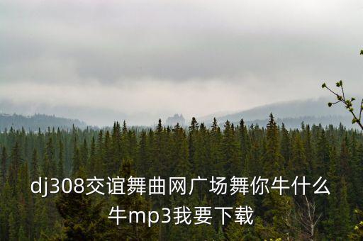 dj308交谊舞曲网广场舞你牛什么牛mp3我要下载