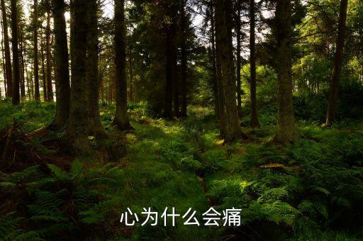 心为什么会痛