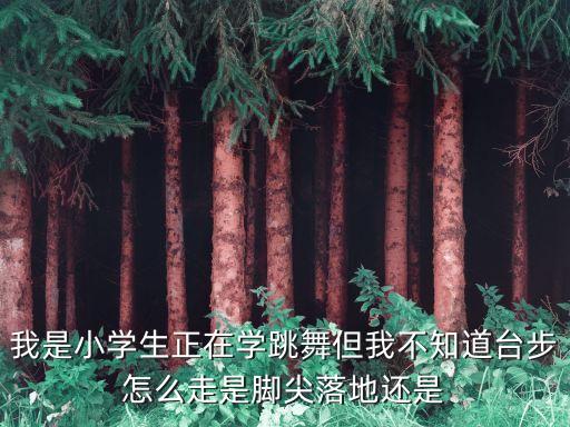 我是小学生正在学跳舞但我不知道台步怎么走是脚尖落地还是