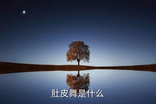 肚皮舞是什么