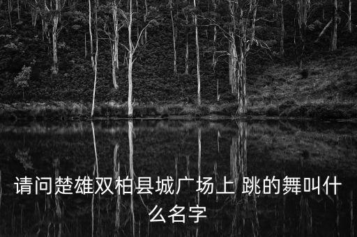 广场舞跳的是什么舞，广场舞只走步的舞叫什么啊