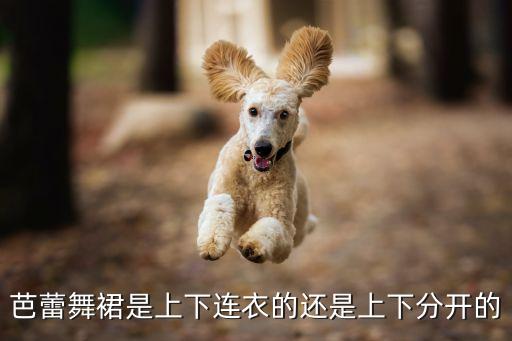 芭蕾舞裙是上下连衣的还是上下分开的