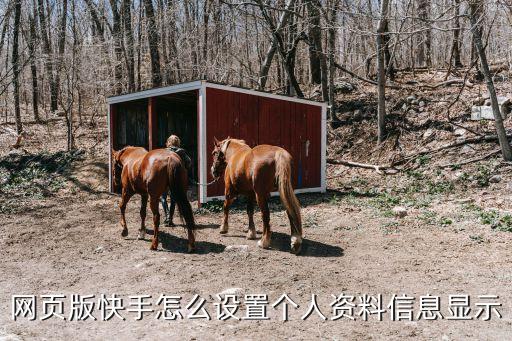 快手app网页版，最好怎么登录快手电脑网页版