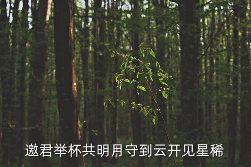 邀君举杯共明月守到云开见星稀