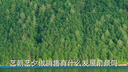 艺朝艺夕做销售有什么发展前景吗