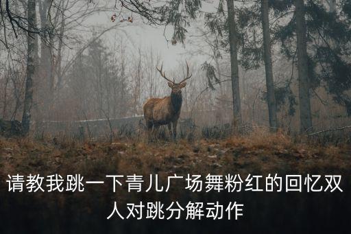 简单16步广场舞，2016广场舞最新广场舞初学16步如何走