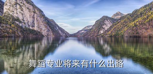舞蹈学专业职业生涯规划，舞蹈专业将来有什么出路