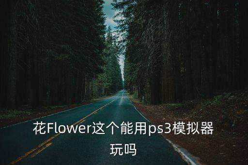 flower花游戏，一个关于花朵的手机小游戏英文名两个单词 flowers