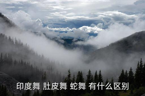 印度舞 肚皮舞 蛇舞 有什么区别