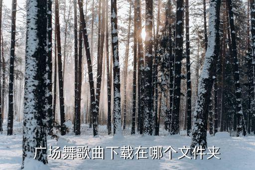 广场舞掌声在哪里mp3，广场舞歌曲下载在哪个文件夹