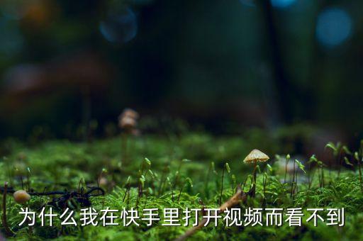 为什么我在快手里打开视频而看不到