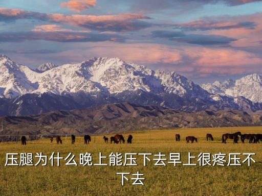 压腿为什么晚上能压下去早上很疼压不下去