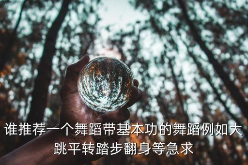 什么舞蹈基本功多一些，谁推荐一个舞蹈带基本功的舞蹈例如大跳平转踏步翻身等急求