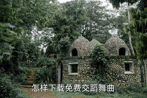 如何免费下载舞蹈，怎么下载舞蹈视频
