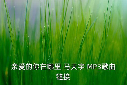 亲爱的你在哪里 马天宇 MP3歌曲链接