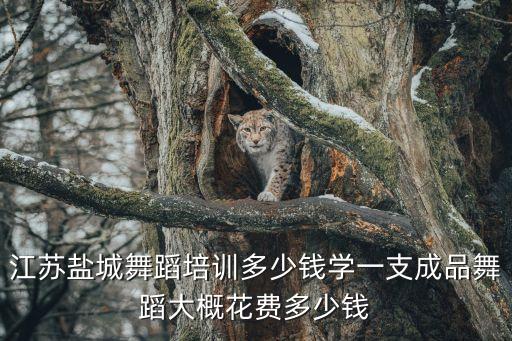 专业古典舞培训价格表，江苏盐城舞蹈培训多少钱学一支成品舞蹈大概花费多少钱