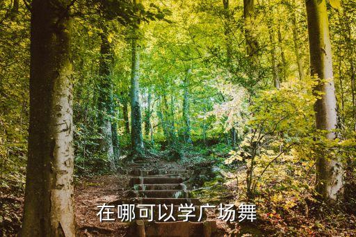 在哪可以学广场舞