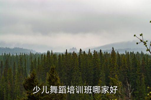 少儿舞蹈培训班哪家好