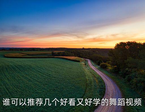 高质量跳舞视频，谁可以推荐几个好看又好学的舞蹈视频