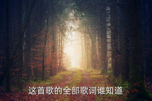 这首歌的全部歌词谁知道