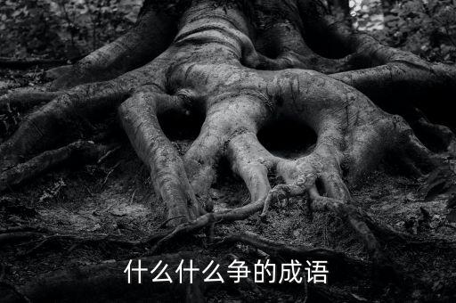 争什么争，什么什么什么争的成语