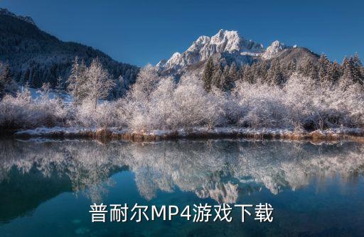 普耐尔MP4游戏下载