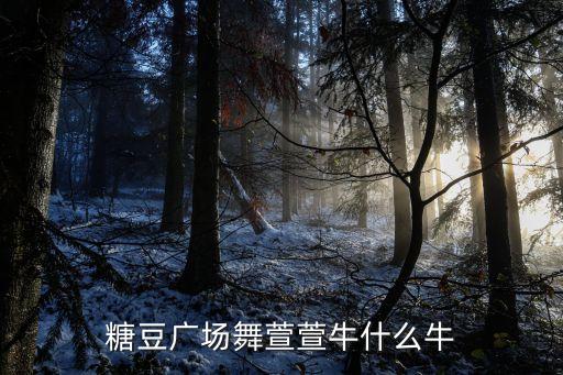 糖豆广场舞萱萱牛什么牛