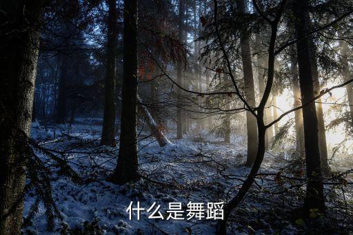 什么是舞蹈