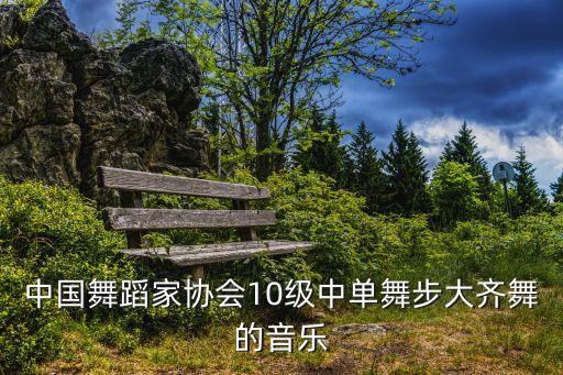 中国舞蹈家协会10级中单舞步大齐舞的音乐