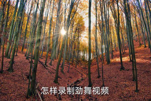 如何录舞蹈视频教程，怎样录制劲舞视频