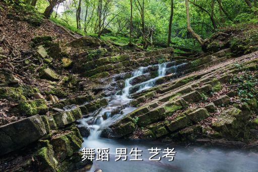 舞蹈大概什么水平艺考能上榜，一般在高考艺术考试时舞蹈类是怎么评分得