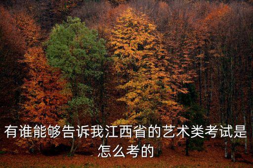 有谁能够告诉我江西省的艺术类考试是怎么考的