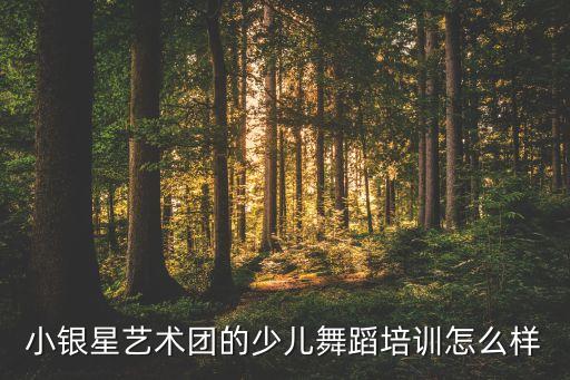 小银星艺术团的少儿舞蹈培训怎么样