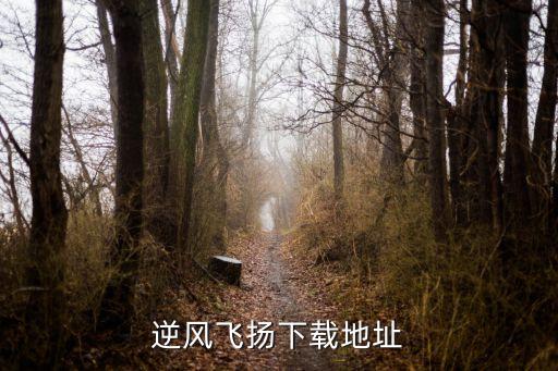 逆风飞扬下载地址