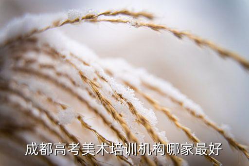 成都美术集训机构前十，四川哪家美术集训学校好