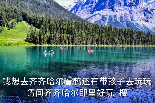 齐齐哈尔哪里看鹤，大庆到齐齐哈尔看鹤怎么走