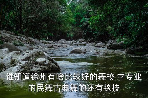 谁知道徐州有啥比较好的舞校 学专业的民舞古典舞的还有毯技