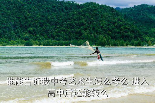 谁能告诉我中考艺术生怎么考么 进入高中后还能转么