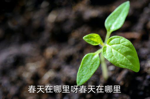 春天在哪里呀春天在哪里