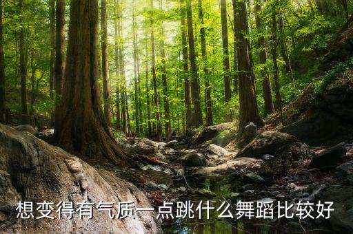 想变得有气质一点跳什么舞蹈比较好