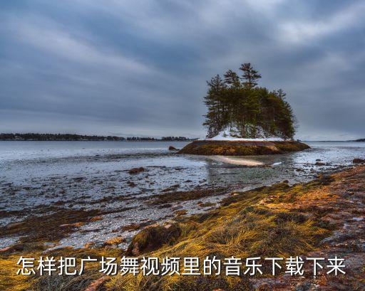 怎样把广场舞视频里的音乐下载下来