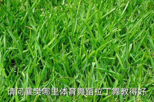 请问襄樊哪里体育舞蹈拉丁舞教得好